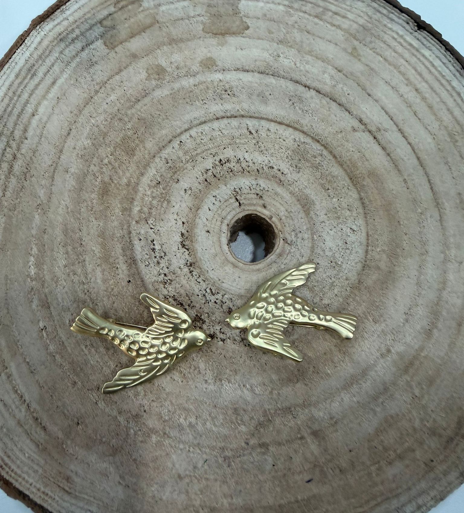 Golondrina dorada mate volando.