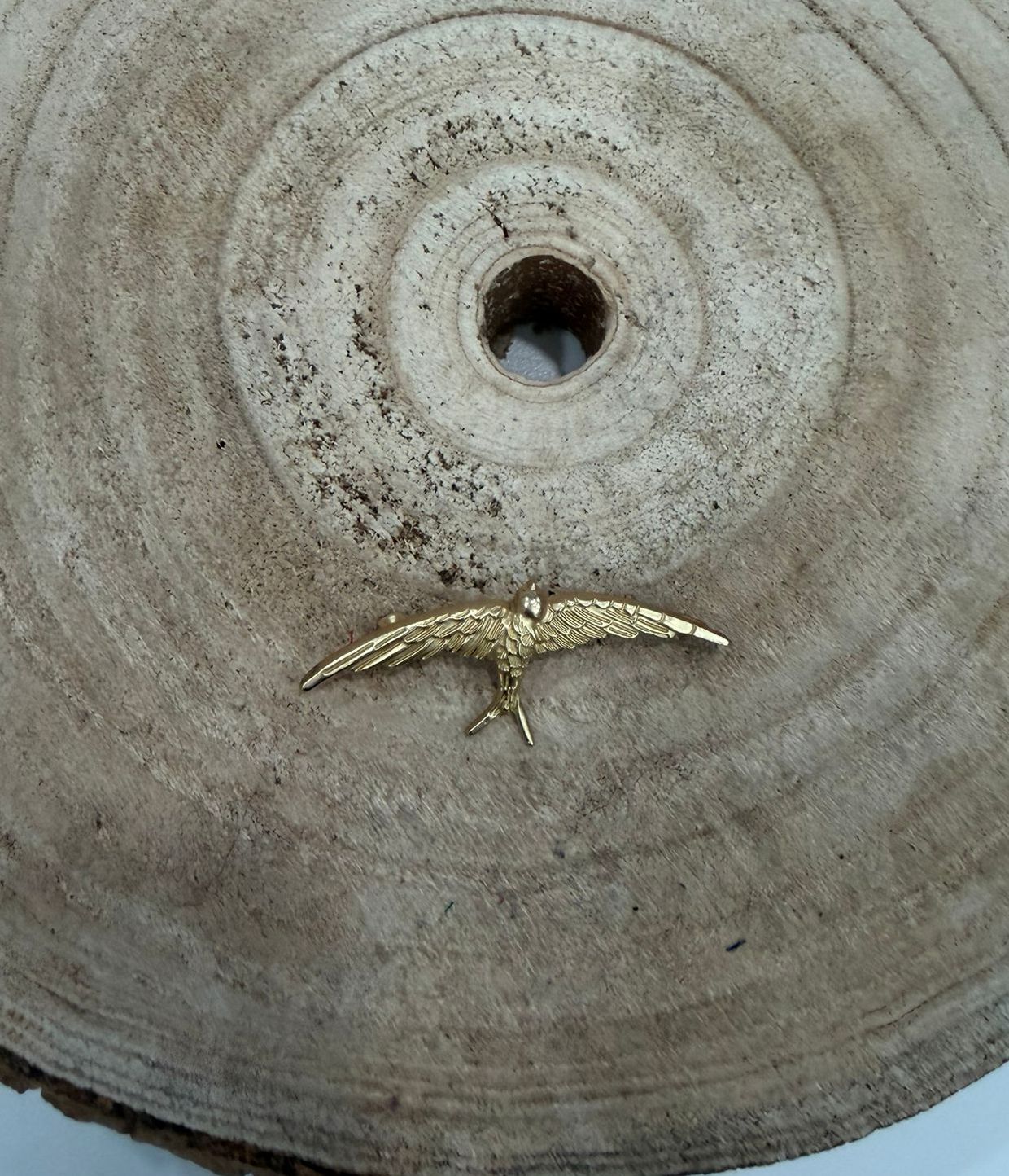 Golondrina pequeña dorada mate volando con las ala abiertas.