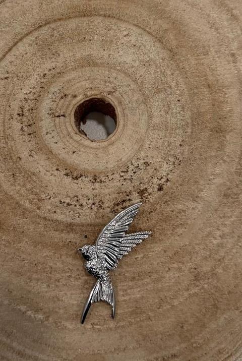 Golondrina pequeña plata en posada.